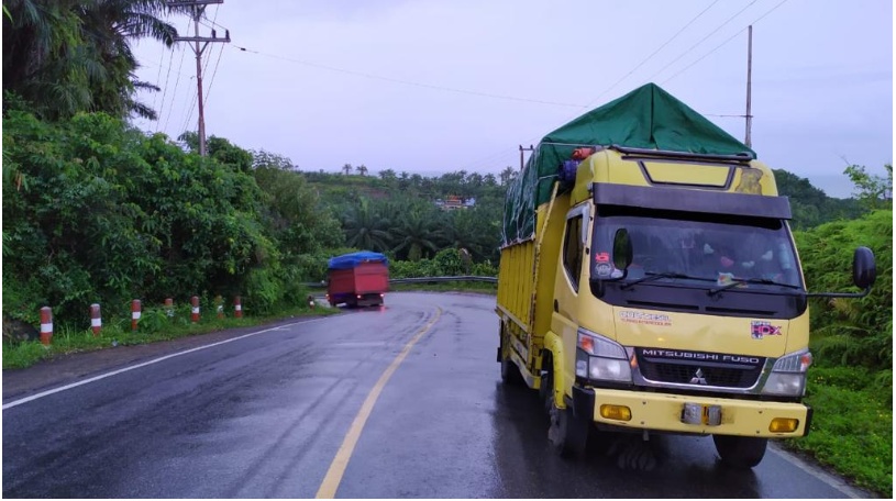 Polisi Tangkap Dua Warga BS, Diduga Bawa Kayu Hasil Illegal logging
