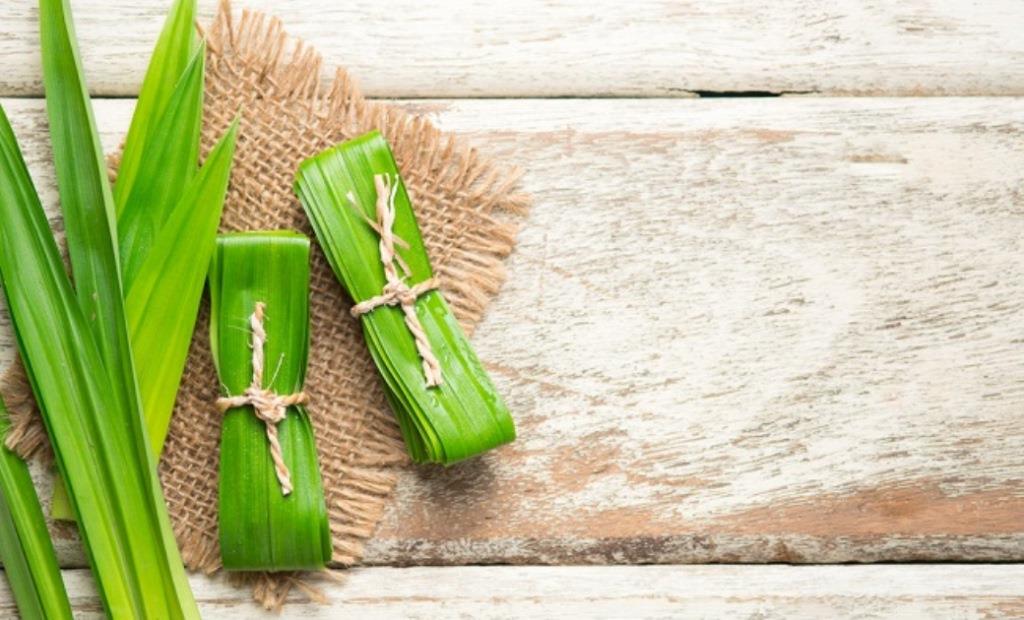 Berikut Pemicu Bau Pandan yang Buat Heboh Warga Bengkulu, Mana yang Benar?