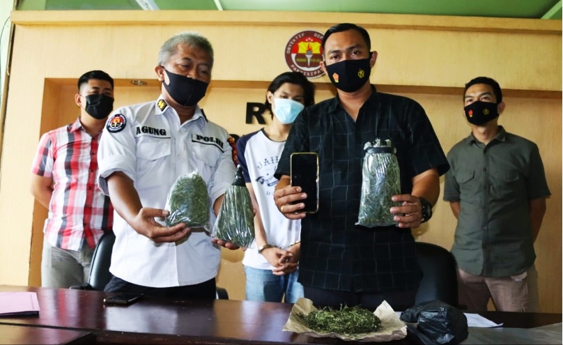 Ditresnarkoba Polda Bengkulu Tangkap Mahasiswa Kuasai Ganja
