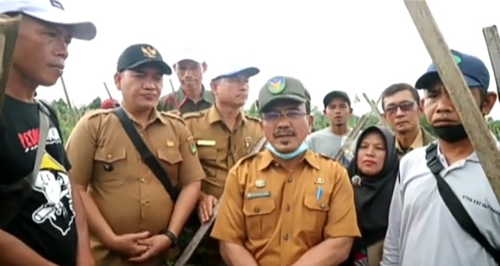 Kadis Pertanian BS Hadiri Panen Raya di Desa Batu Kuning