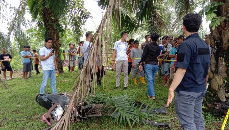 Usai Membunuh, Seorang Buruh Harian di Benteng Menyerahkan Diri ke Polisi