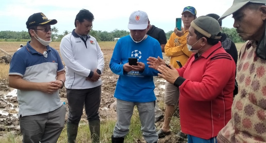 Bupati Sapuan Turun ke Sawah Dengar Keluhan Petani