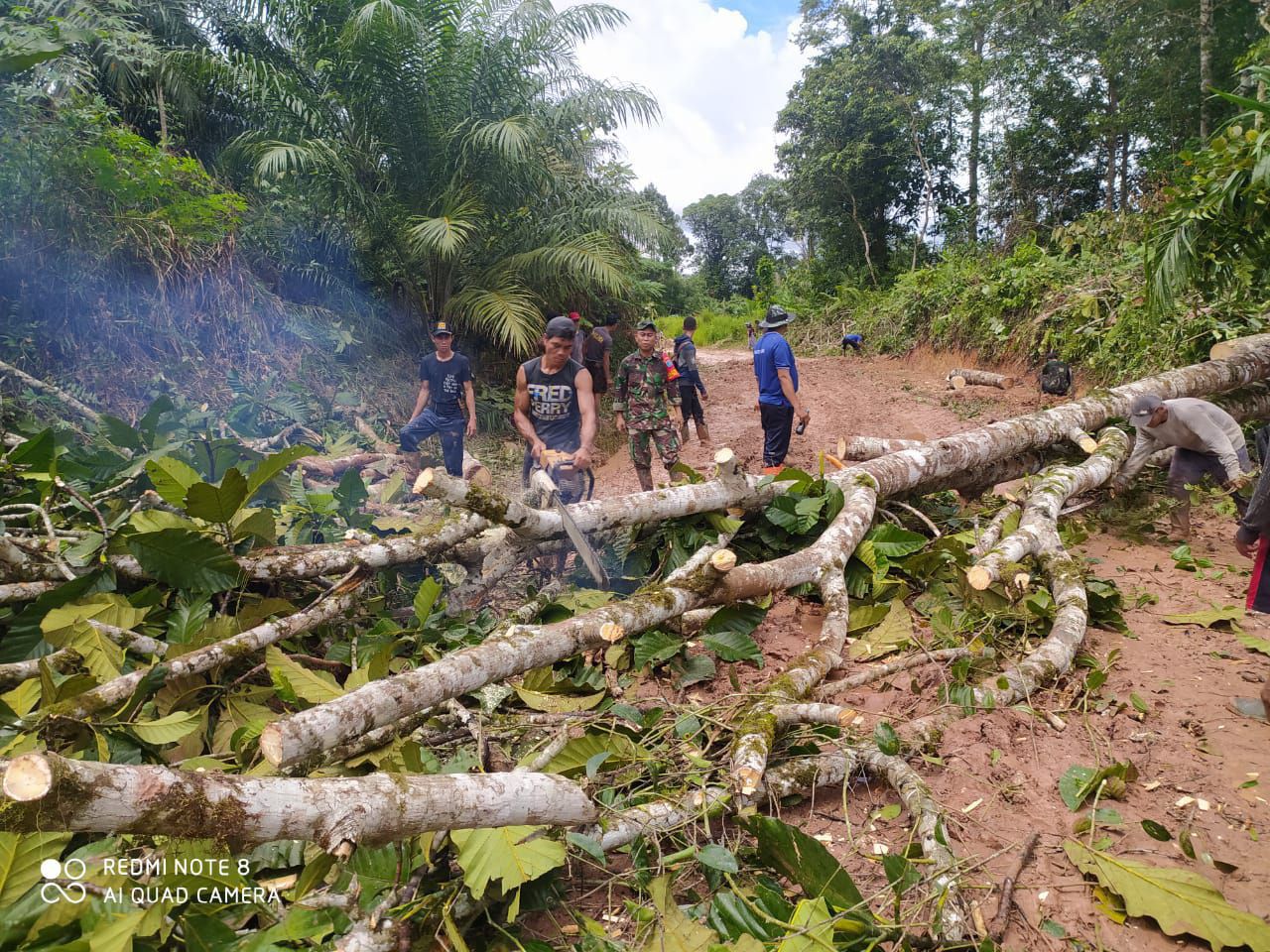 Dandim 1201: TNI Harus Peduli Masyarakat, Pohon Tumbang di Jalan Singkirkan!