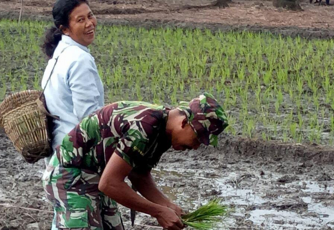 Tingkatkan Produktifitas, Warga Desa Paloan Terima Stimulan dari Koramil Sengah Temila