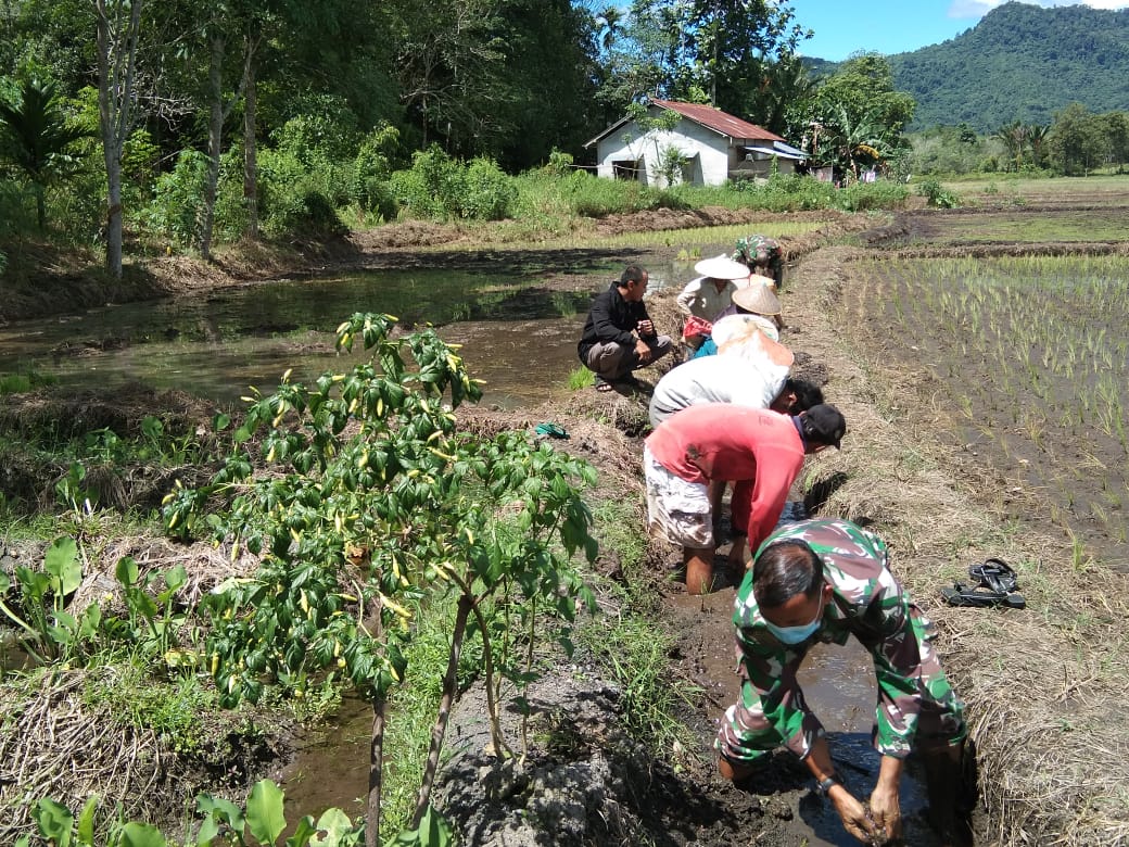 Demi Warga Binaanya Sejahtera, Babinsa Menjalin Lakukan ini 