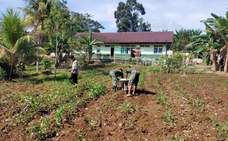 Manfaatkan Lahan Sempit, Koramil Toho Kreatif Bangun Ketahanan Pangan