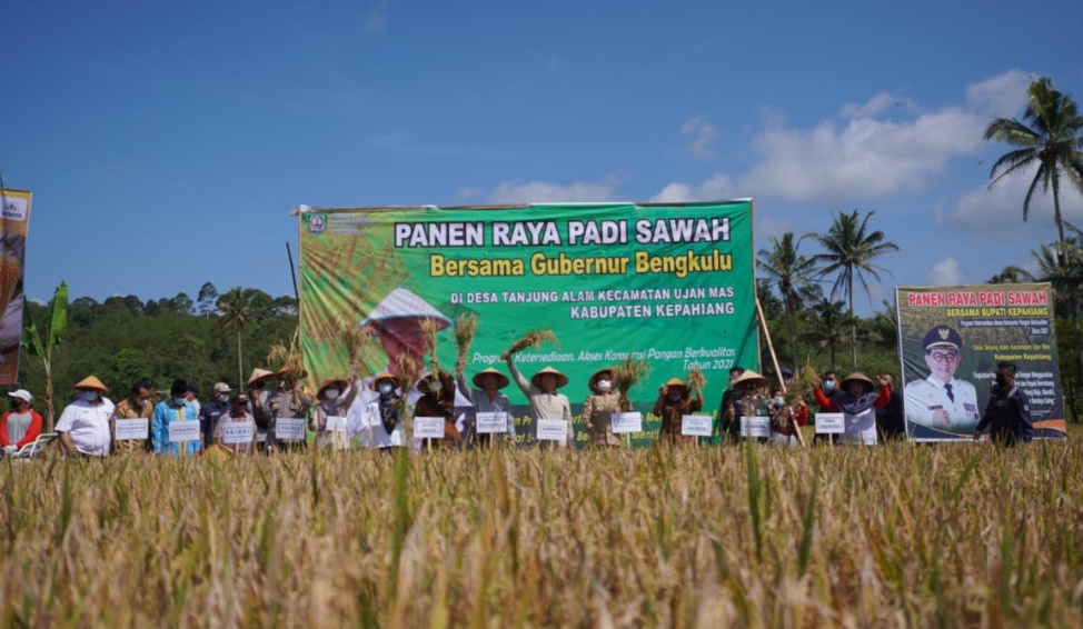 Panen Raya di Kepahiang, Pemprov Bengkulu Terus Dorong Sektor Pertanian