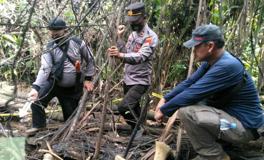 Bangkai Gajah yang Ditemukan di Lahan PT BAT Diduga Kena Racun