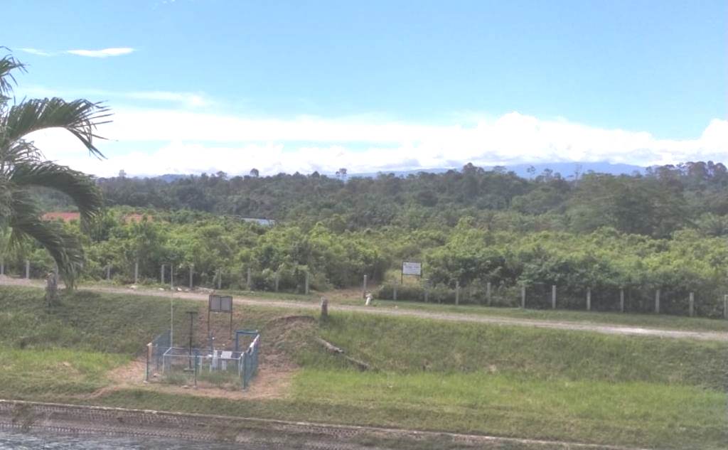 Warga Sayangkan Program Tanaman Buah di Bendungan Air Manjunto Gagal Tumbuh