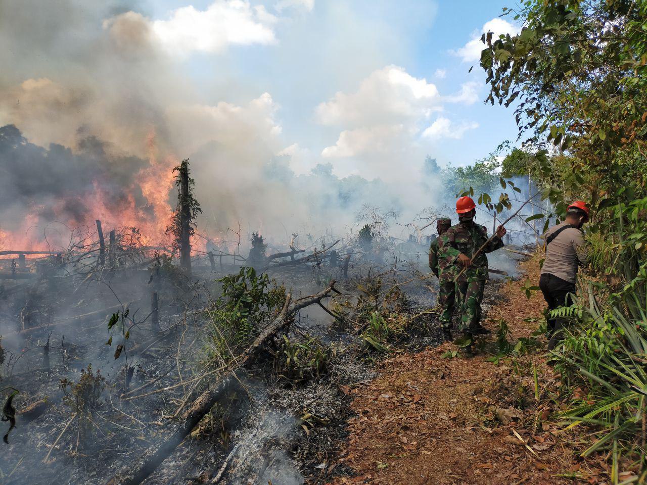 Lahan Terbakar, Anggota Koramil Toho dan Polsek Lakukan Pemadaman