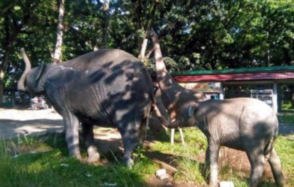 Investor Siapkan Rp 40 M Bangun Taman Remaja