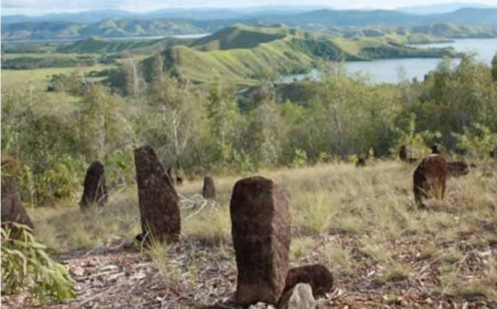 Mengenal Megalitik Tutari Situs Peradaban Papua
