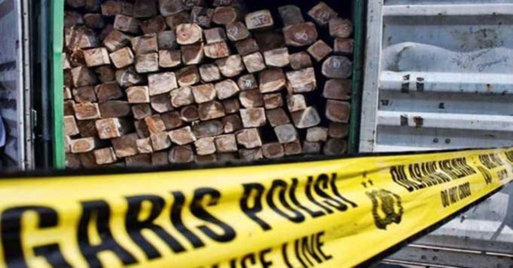 Polisi Amankan 2 Kubik Kayu Hasil Pembalakan Liar di Bengkulu Selatan