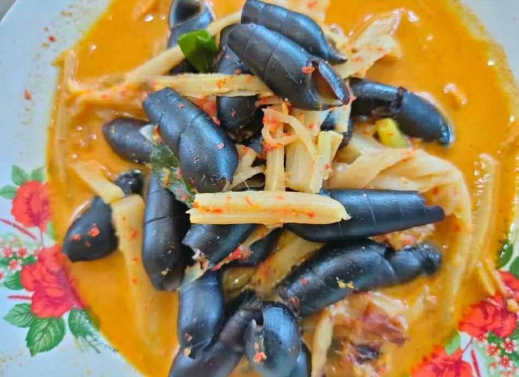 Sedapnya Gulai Liling Kuliner Khas Bengkulu