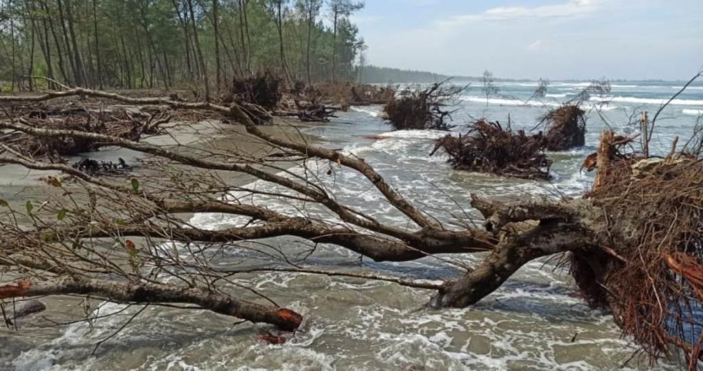 BWSS VII Bengkulu Bantah Aktifitas Proyek Mereka Rusak TWA Pantai Panjang