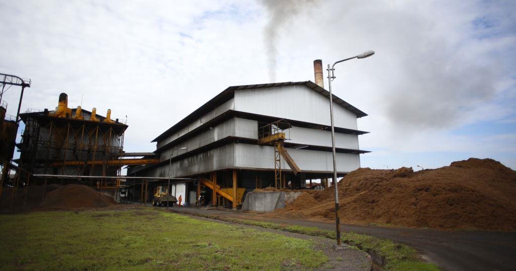 Sonsong Bisnis CPO yang Kian Menjanjikan NSS Segera Gelar IPO