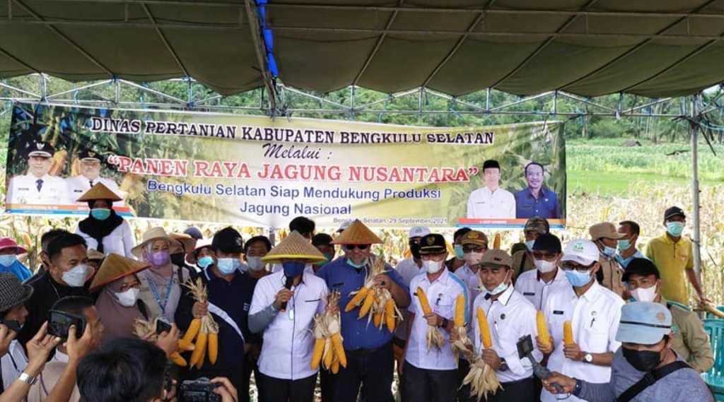 Bupati Gusnan Ikuti Panen Raya Jagung Bersama Mentan Syahrul Yasin Limpo