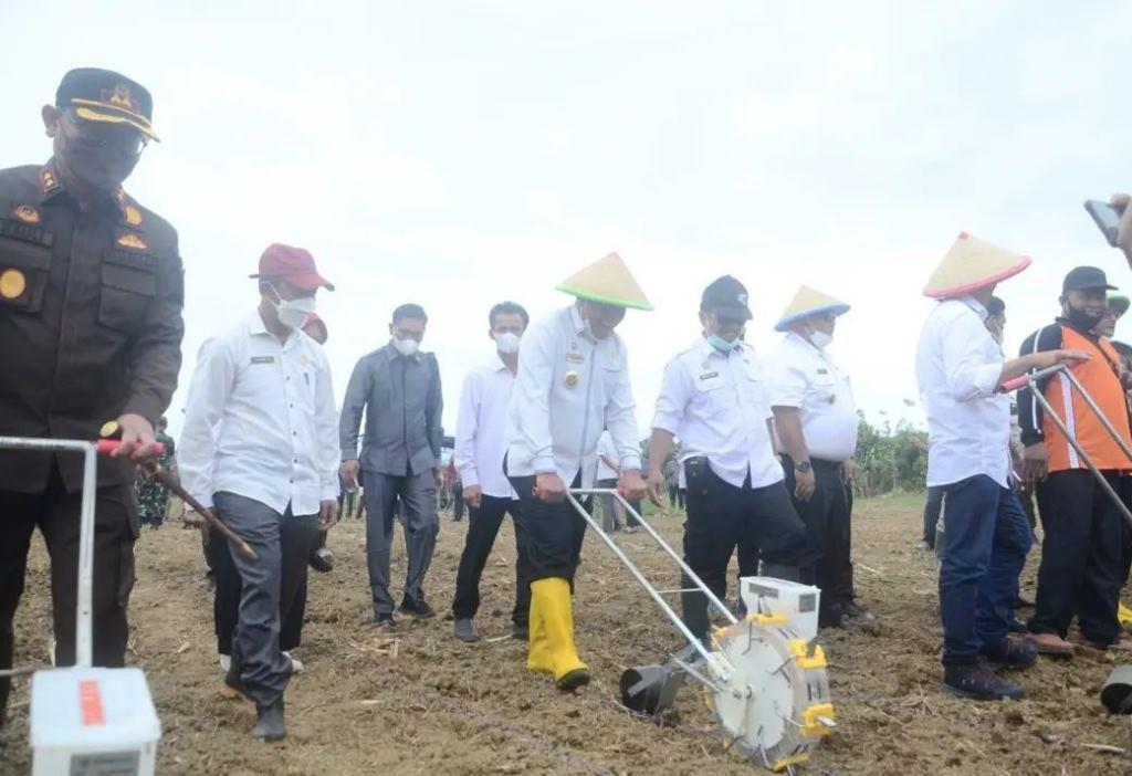 Bengkulu Selatan Berpotensi Jadi Penghasil Jagung Terbesar