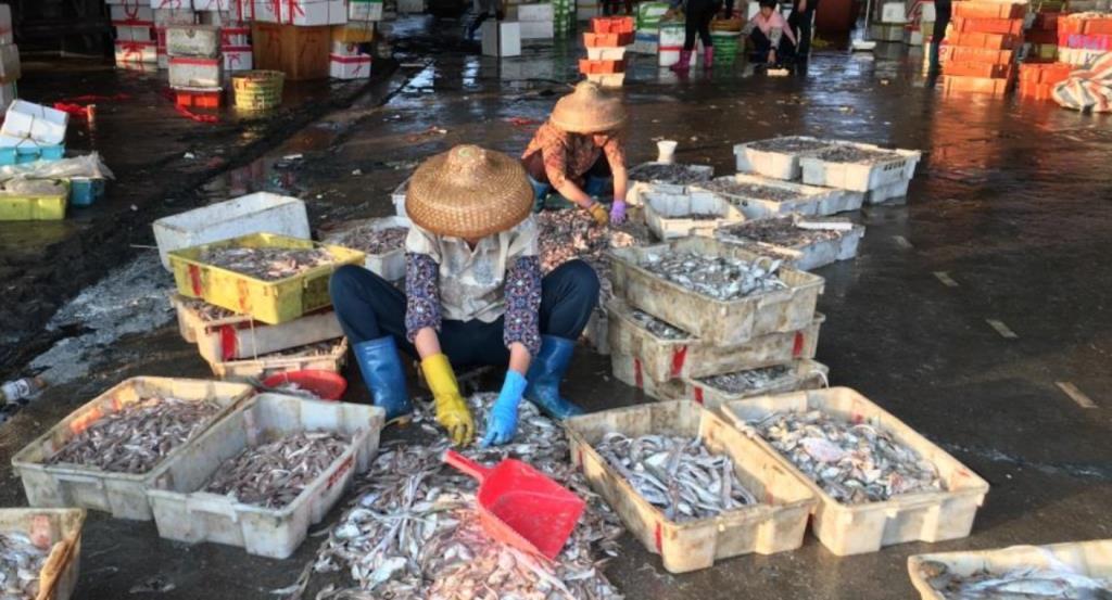 Pertumbuhan Ekonomi Bengkulu Sejalan dengan Perekonomian Nasional