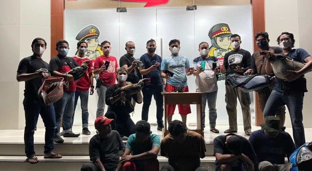 Sabung Ayam, Lima Orang Pria Diamankan Polisi