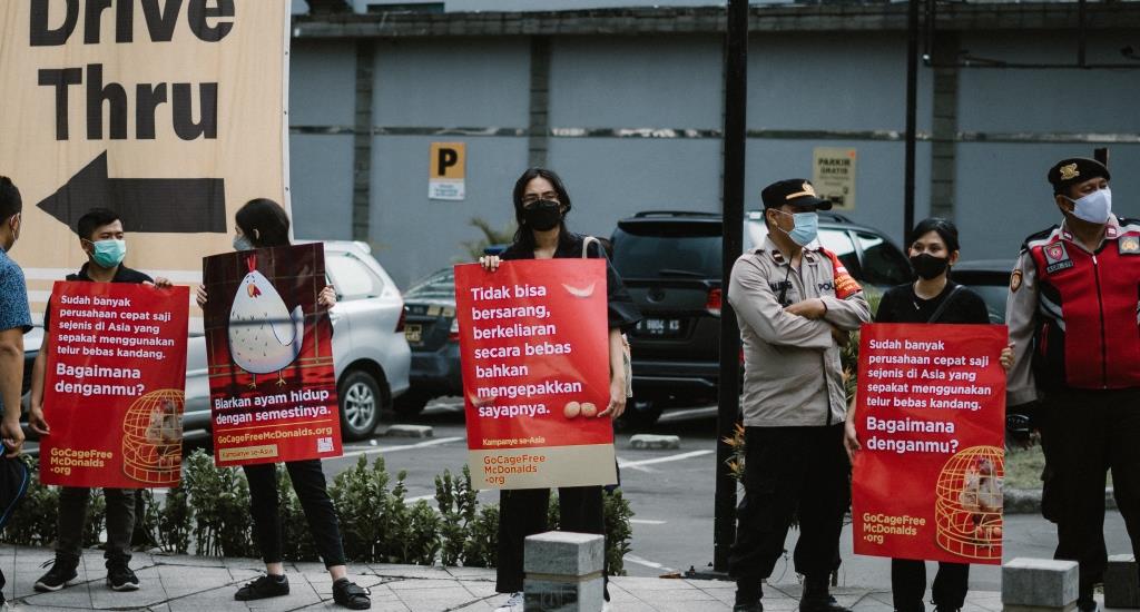Aktivis Tentang McDonald’s atas Penggunaan Telur dari Kandang Baterai