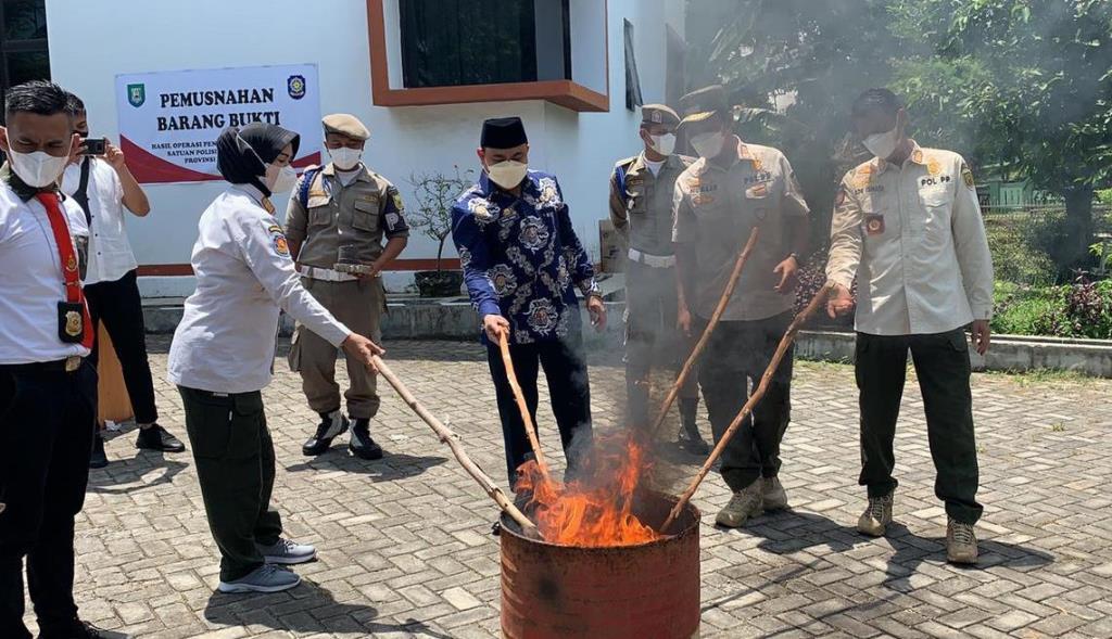 Satpol PP Provinsi Bengkulu Musnahkan Barang Bukti Hasil Operasi Pekat