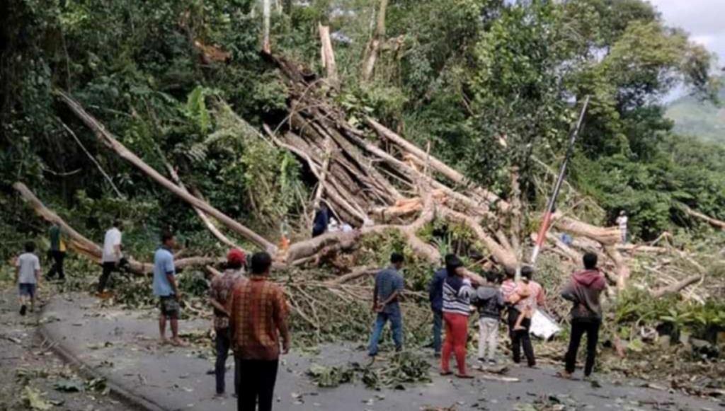 Pohon di Sepanjang Ruas Jalan Liku Sembilan Akan Dipotong