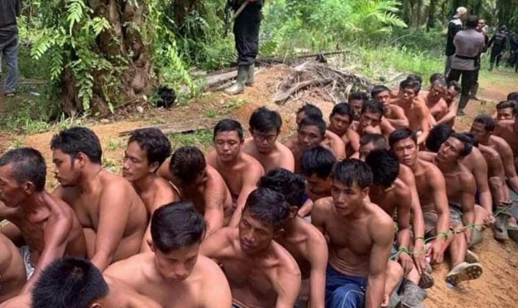 Panen Sawit, 40 Orang Warga Mukomuko Jadi Tersangka