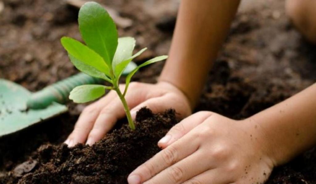 Partisipasi Publik dalam Pengelolaan Lingkungan sebagai Wujud HAM