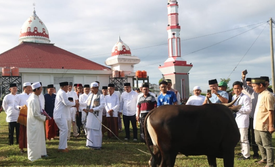 Bupati Erwin Serahkan 4 Sapi Kurban di Masjid  Baitul Falihin