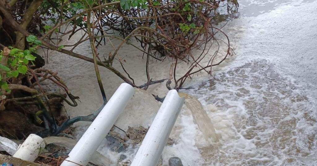 Walhi Bengkulu Laporkan 2 Perusahaan Tambak Udang di Kaur