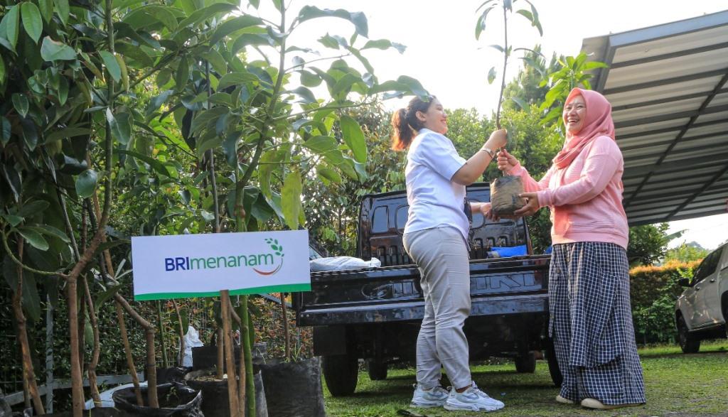 BRI Menanam Proyeksikan Penyerapan Karbon hingga 108 Ribu Ton CO2