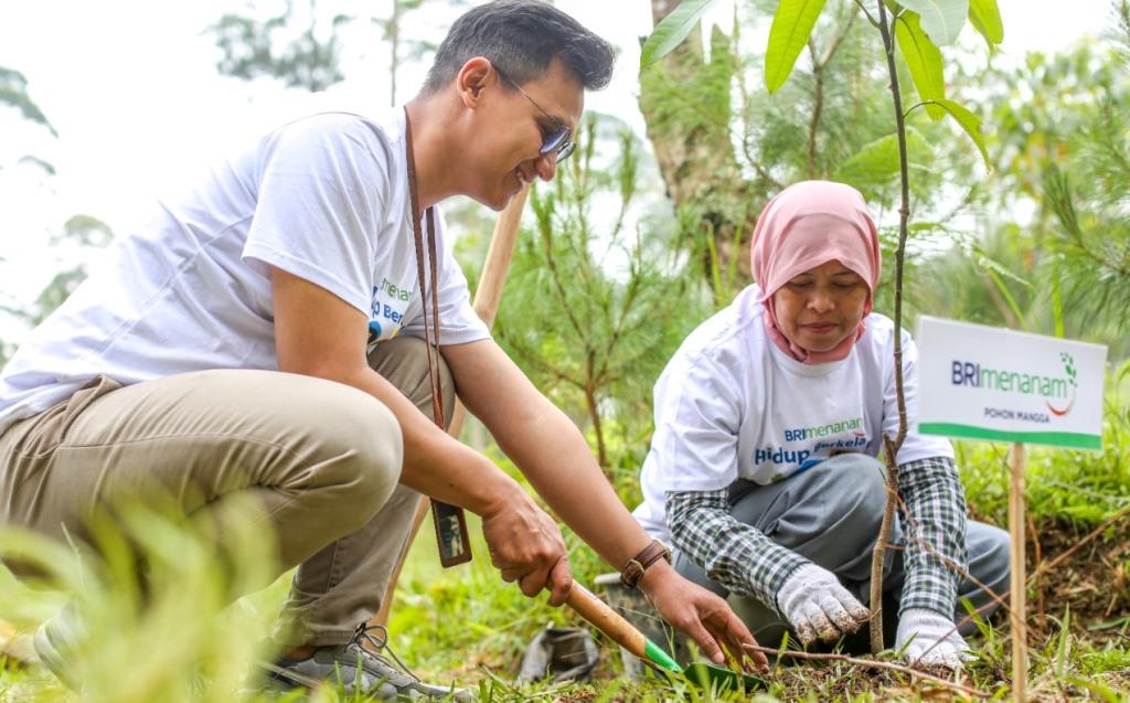 Lingkungan Lebih Hijau & Jadi Cuan, Nasabah Ungkap Manfaat BRI Menanam