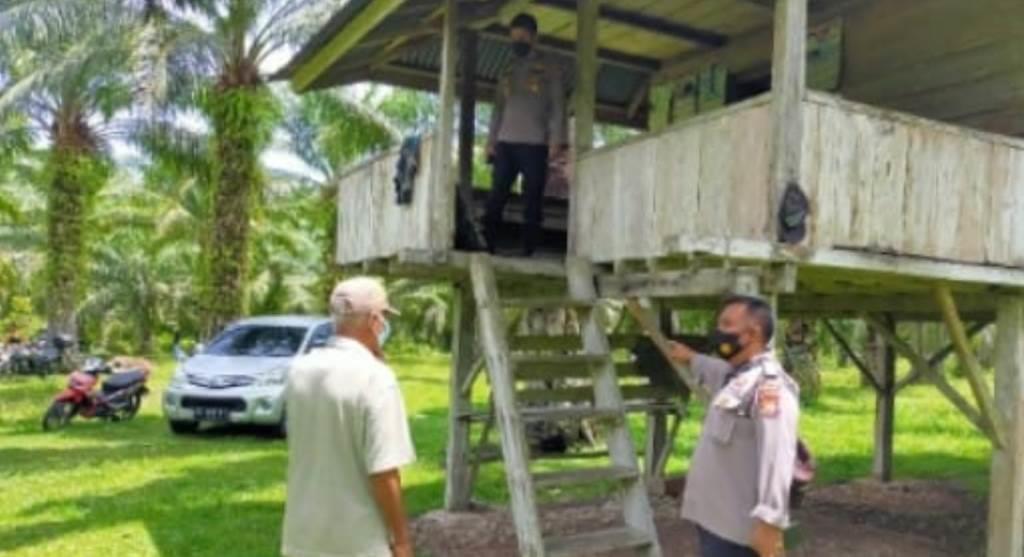 Warga Temukan Mayat dalam Pondok Kebun Sawit di Kedurang
