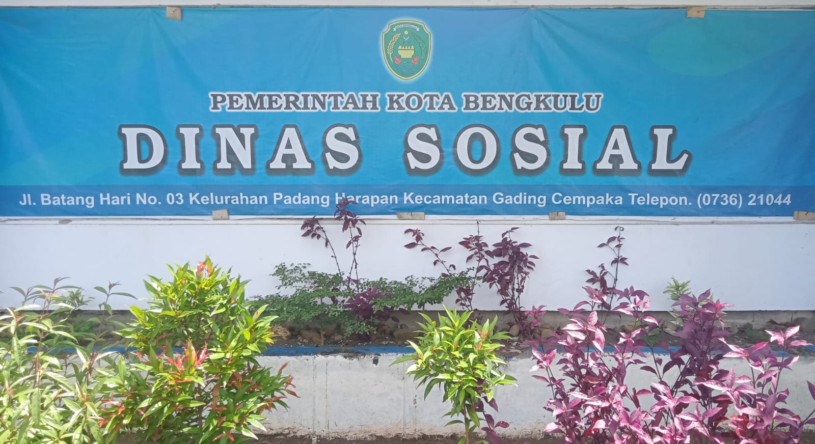 DINSOS Kota Bengkulu Beri Tongkat Untuk Gadis Disabilitas yayasan Pijar Qalisya