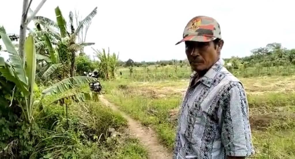 Puluhan Hektar Sawah di Seluma Kekeringan, Dinas Pertanian Abai