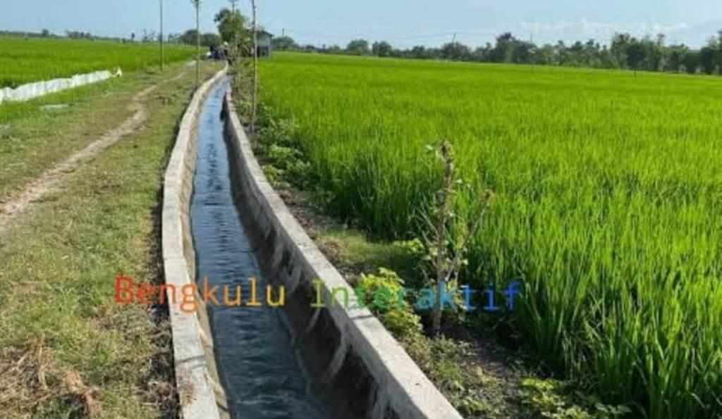 Pemkab Lebong kembali Alokasi Dana Bangun Irigasi pada Tahun 2023