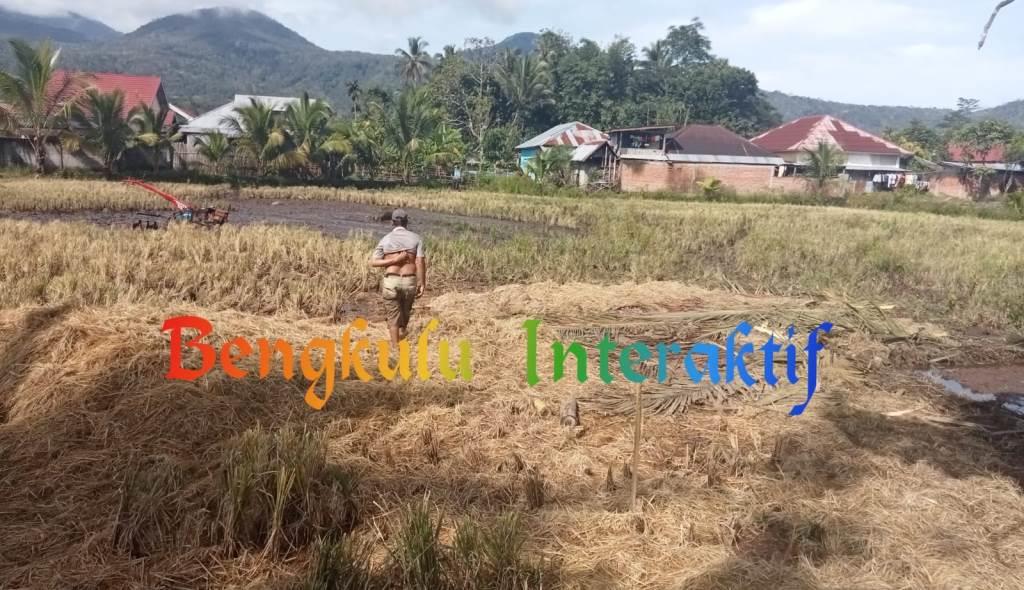 Pemdes Suka Damai Survey Lahan Persiapan Program MT2