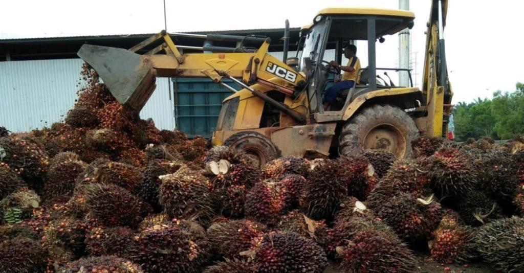 Indonesia Menuju Penghiliran Produk Sawit
