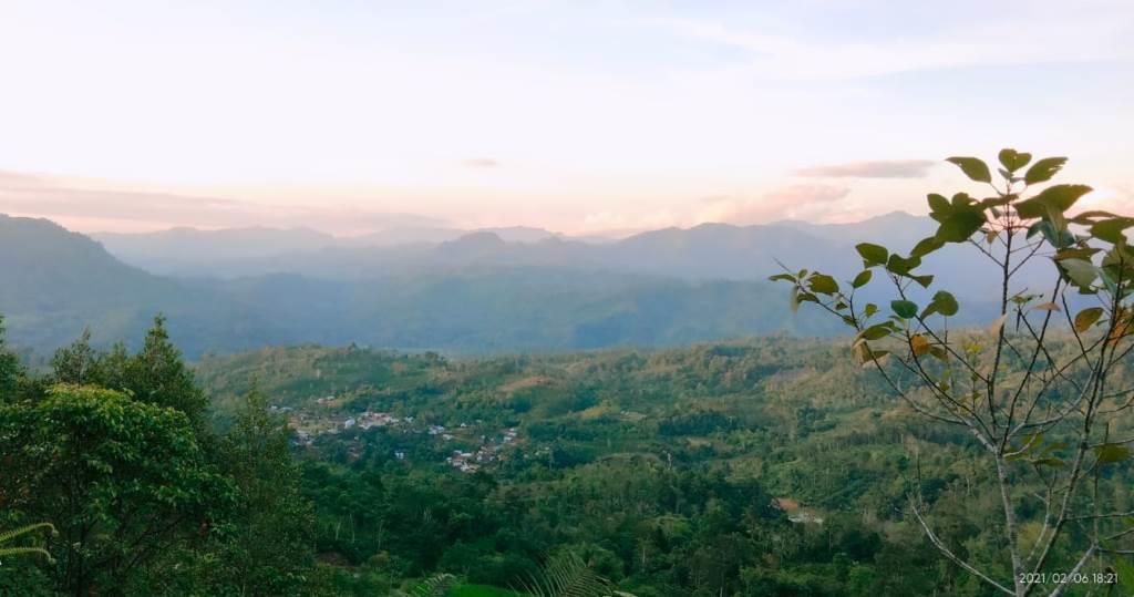 Penurunan Status Hutan Kawasan di Seluma Disetujui 20 Ribu Hektar