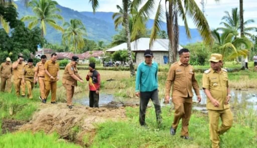 Turun ke Sawah, Bupati Lebong Tinjau Langsung Kesiapan Lahan Program MT-2
