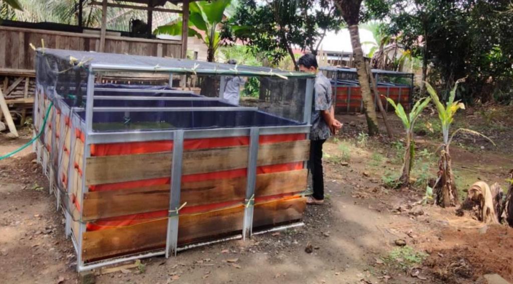 Program Budidaya Ikan Lele 6 Desa di Seluma Barat Gagal