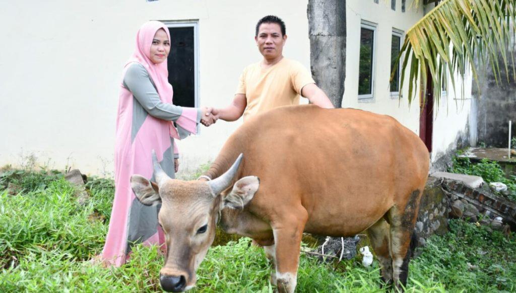 Sukseskan Program Pemkot, Kominfo Salurkan Sapi untuk Masyarakat