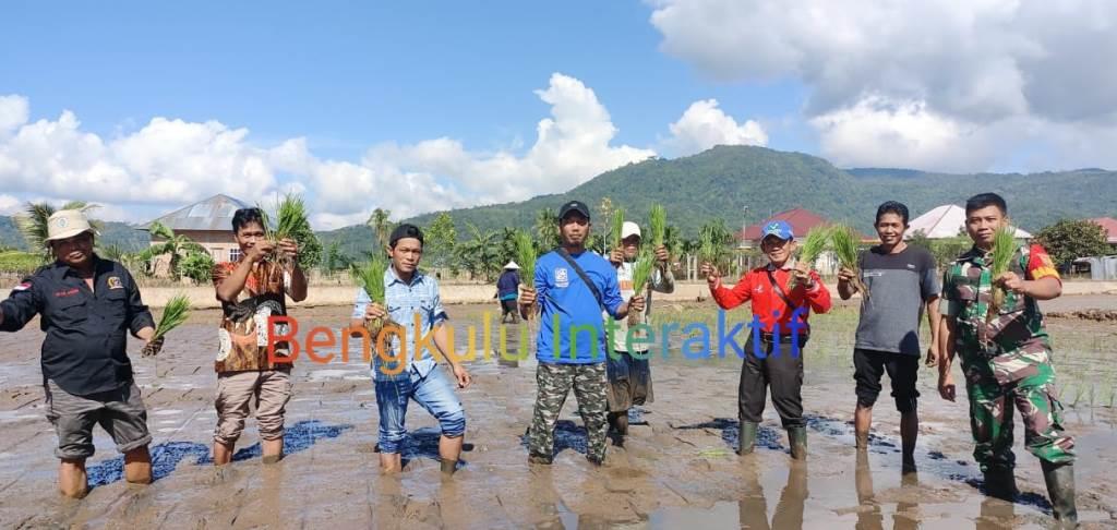 Sukseskan Program MT-2, Desa Sukau Rajo Lebong Turun Tanam