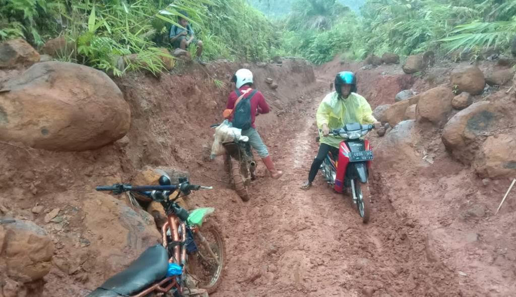42 Hektar Hutan Kawasan Turun Status, Pemkab Seluma Usulkan Rp 60 M Bangun Jalan Lubuk Resam