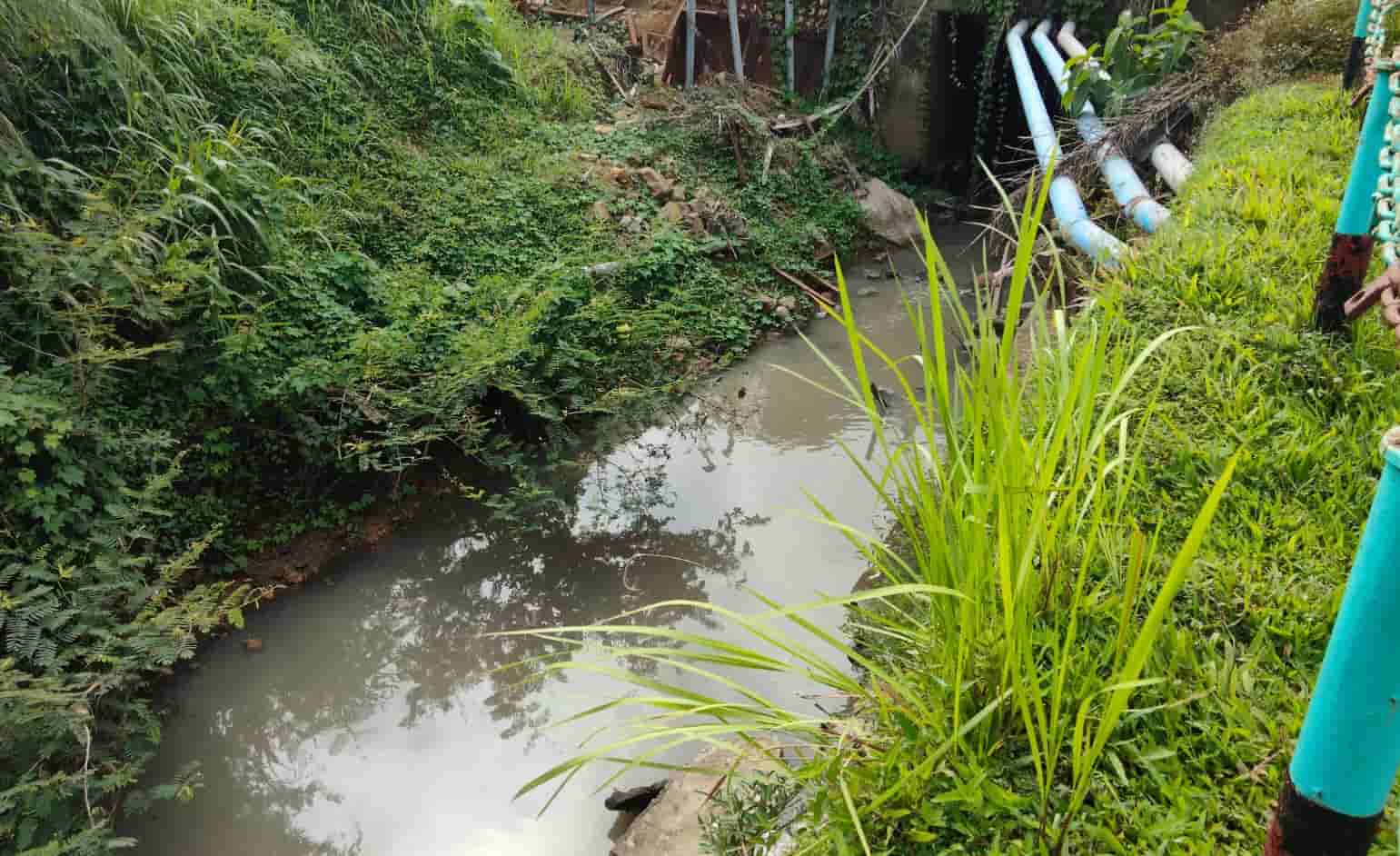 Dewan Seluma Soroti Dugaan Pencemaran Lingkungan Akibat Limbah PT AIP