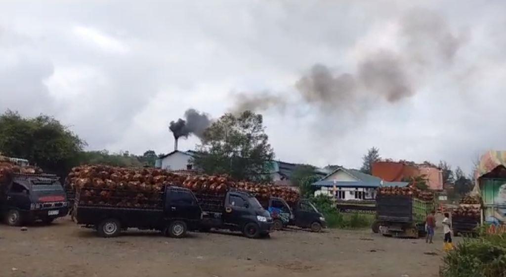 Selain Cemari Sungai, Cerobong Asap PT AIP juga Picu Polusi Udara