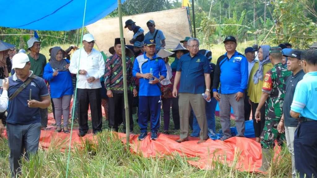 Bupati Lebong Hadiri Perayaan Panen Raya Musim Tanam Kedua