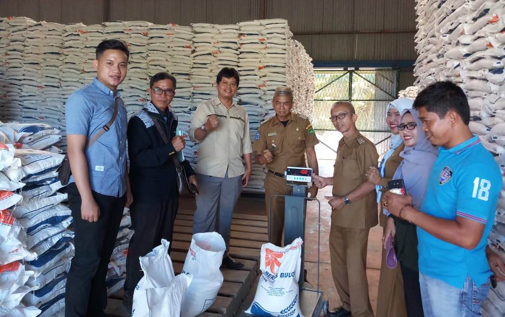 Harga Beras Meroket, Ini Skenario Pemerintah