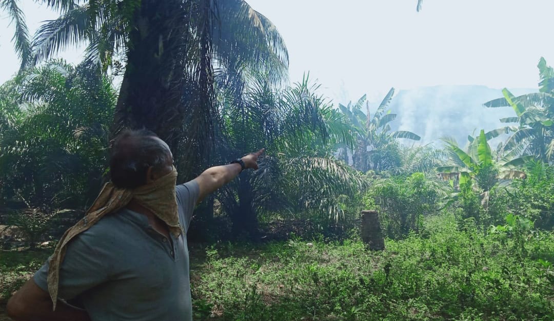 Pemukiman Warga Teluk Sepang Dikepung Asap Akibat Swabakar Batubara di Stockpile